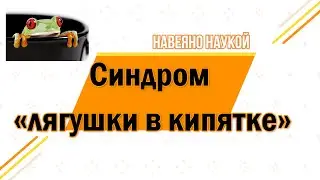 Синдром «лягушки в кипятке» - когда проблемы окутывают паутиной, а вы даже не замечаете
