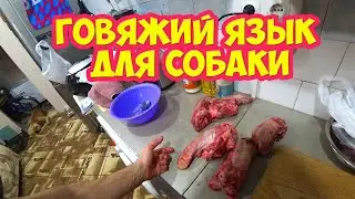 Говяжий язык для собаки
