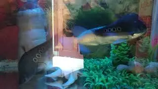 VID 20190614 130340
