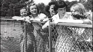 Social-Sex Attitudes In Adolescence (1953)