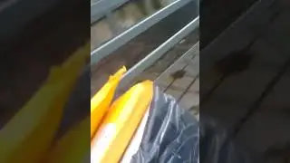 Пасилкаилка алдик