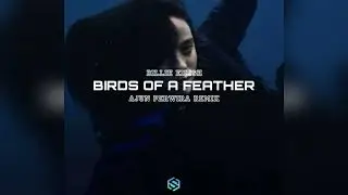 Billie Eilish - BIRDS OF A FEATHER ( Ajun Perwira REMIX )