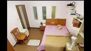 умный пёс)