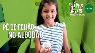 DIY - Passo a Passo: Como Plantar Feijão no Algodão - Minuto Meio Ambiente #10 - #MinutoKids