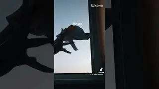 Дракон из тт мой 