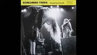 Β1-Screaming Trees-Flashes