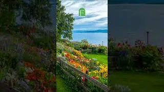 Scandinavian Hillside Garden