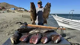 Feeding a Village with just my Speargun! (Catch & Cook)