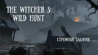 НЕОДНОЗНАЧНЫЕ ДЕРЕВЕНСКИЕ ИСТОРИИ | THE WITHER 3: WILD HUNT #6