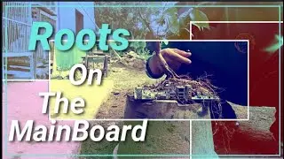 Roots On The Mainboard!!! Cara Unik Olah Sampah Elektronik