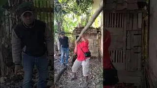 terompet peyeum bndung