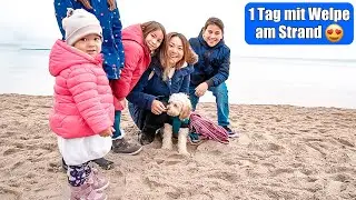 1 Tag mit Hund am Strand 😍 Cockapoo Welpe als Familienhund! Ich bin verliebt! Gassi gehen Mamiseelen