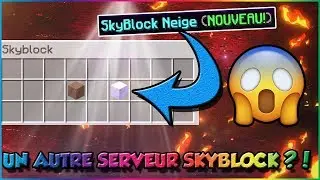 ILS ONT OUVERT UN AUTRE SERVEUR SKYBLOCK ! - Rinaorc [4000 Abonnés !]