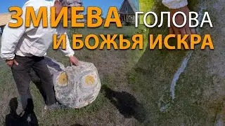 Змиева голова и божья искра