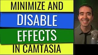 Minimize and Disable Tools in Camtasia