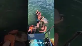Доброе утро...
