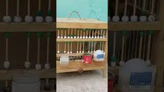 кабк keklik