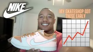 Nike SB Dunk Low Trocadero Gardens Review | Hold or Sell