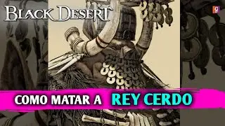 REY CERDO DORADO BDO GUIA BOSES