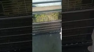 приёмник 209