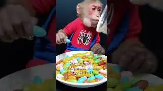 ТА САМАЯ ПОДРУГА КОТОРАЯ ВЕЧНО ХУДЕЕТ😂