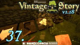 Fresh Set of Bronze Tools - Let's Play Vintage Story 1.18 Part 37