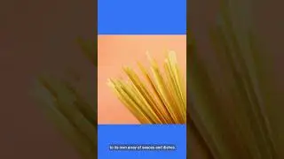 Differences: Spaghetti vs Noodles 