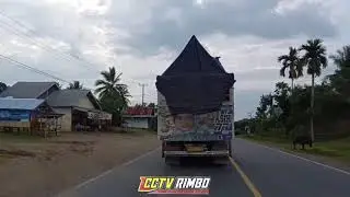 Bawang junior lintas Sumatera
