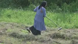 Заготовка сена