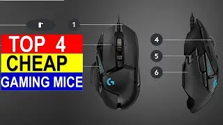 Top 4 Budget Gaming Mice 2024 - Best Cheap Gaming Mice Reviews