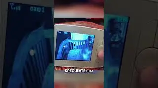 Mysterious Light Follows Baby:  Guardian Angel or Spirit?