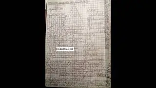 Шкала подготовки всадника