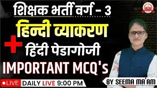 MPTET VARG 3 | हिन्दी पेडागोजी  |  Varg 3 New Vacancy 2024 | MPTET Varg 3 Hindi Pedagogy mcq's
