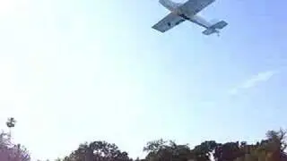 Pirahna Beta