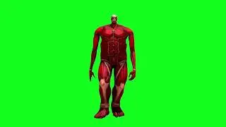 Attack of Titan Walk Green Screen