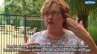Kesaksian Korban Selamat Kebakaran Hutan California