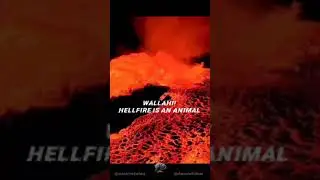 sistermuslimah   Jahannam #jahannam #islam #quran #muslimtiktok #muslim #dawah #askamuslim