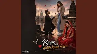 Pyaar hua dekh haal mera (1)