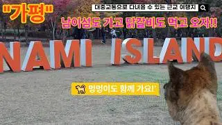 Let's take a look at Nami Island in Korea. Let's try spicy charcoal-grilled chicken and makgeolli