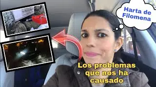 FILOMENA / Tras la nieve, llegó el desastre.