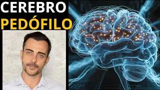 El cerebro del pedófilo: lo que revela la neurociencia