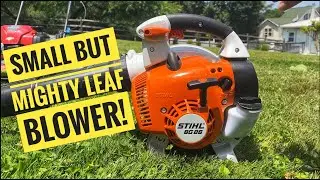 Stihl BG 86 Leaf Blower Review