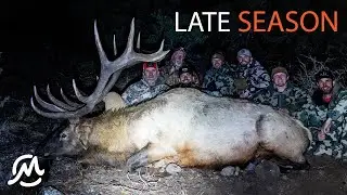 UTAH LIMITED ENTRY ELK | LATE SEASON