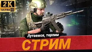 🟢Тарков СТРИМ - Дали компенсацию 50$