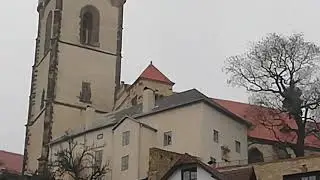 Vlok z Mělníka