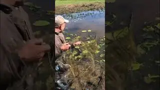 Называется рыбалка соволками в загонку #shorts#юнийбраконьєр