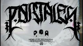 NICHE LS FT DELASRIMAS - PORTALES