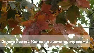 Золото осени,стихи Ирины Самариной,музыка Александра Варварина