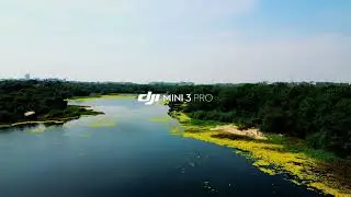 HCU DRONE SHOTS WEAVER BIRDS NEST