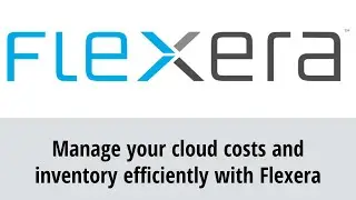 Manage your cloud costs and inventory efficiently with Flexera
